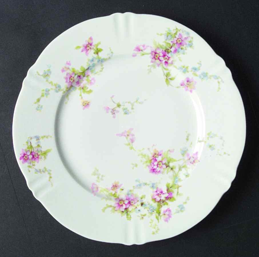Schleiger 1014-2 Salad Plate by Haviland-1