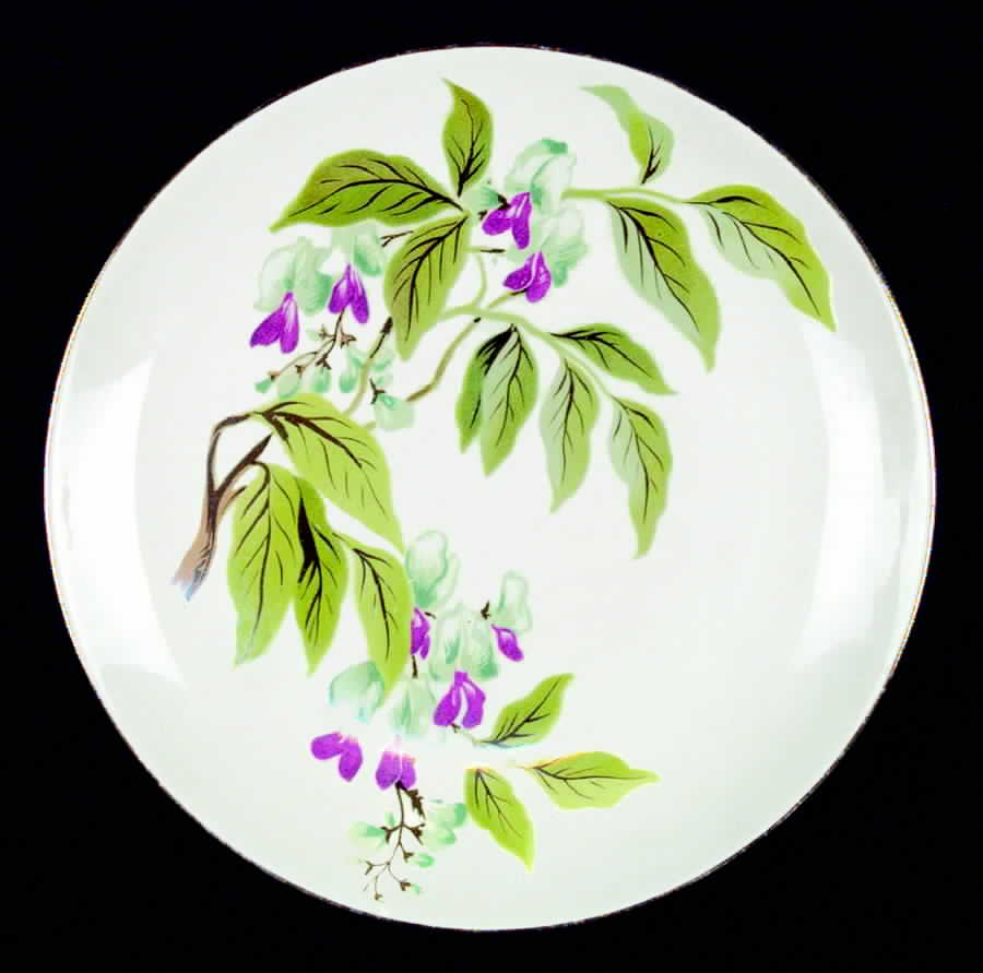 HLC2200 Dinner Plate by Homer Laughlin -1