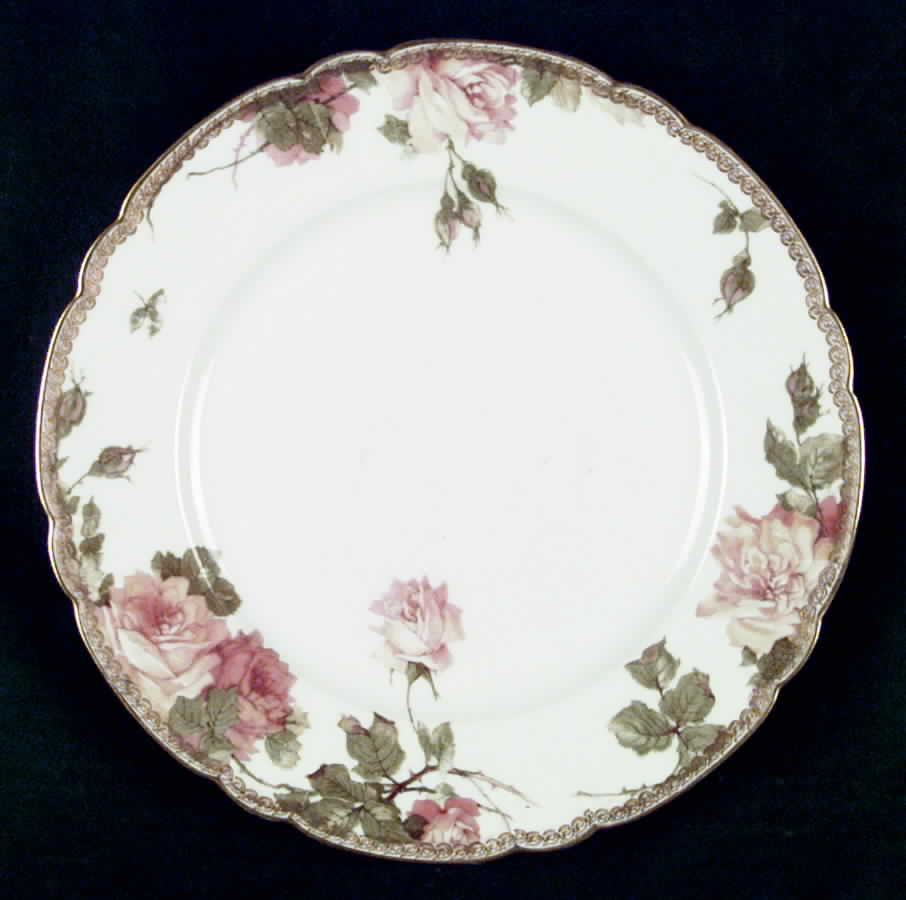 Schleiger 65-2 Dinner Plate by Haviland-1
