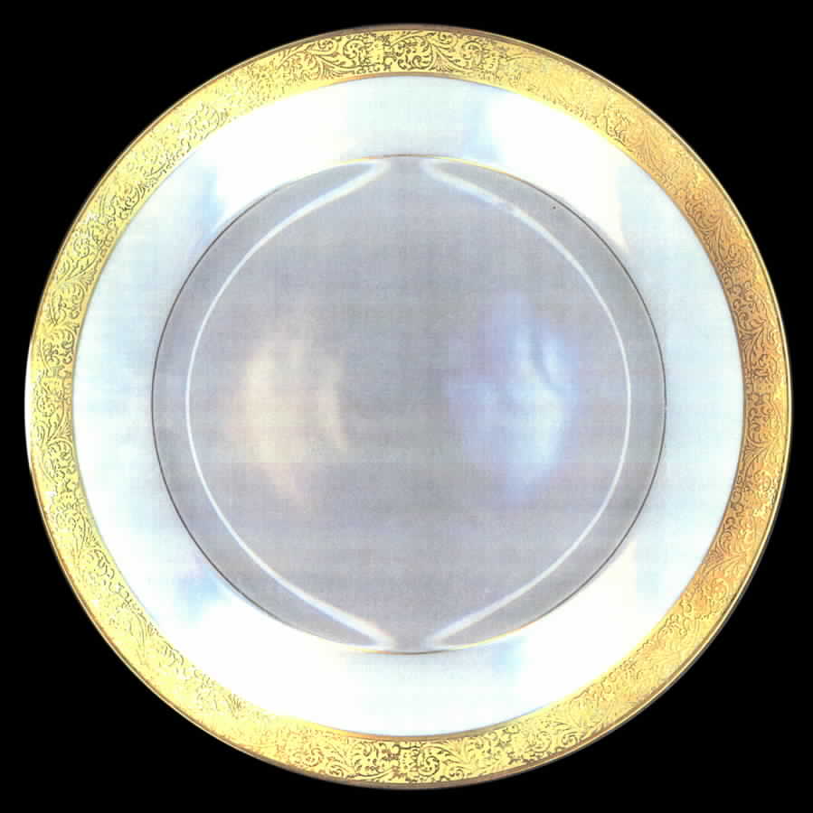 HUT1132 Dinner Plate by Hutschenreuther-1