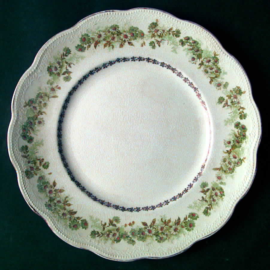 HLC1523 Dinner Plate by Homer Laughlin -1