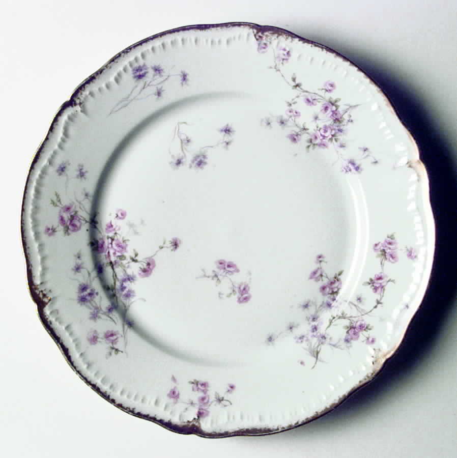 Schleiger 309-3 Dinner Plate by Haviland-1