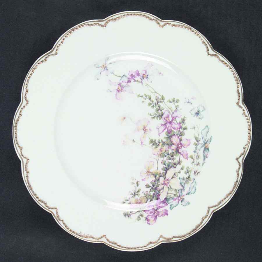 H1998 Dinner Plate by Haviland-1