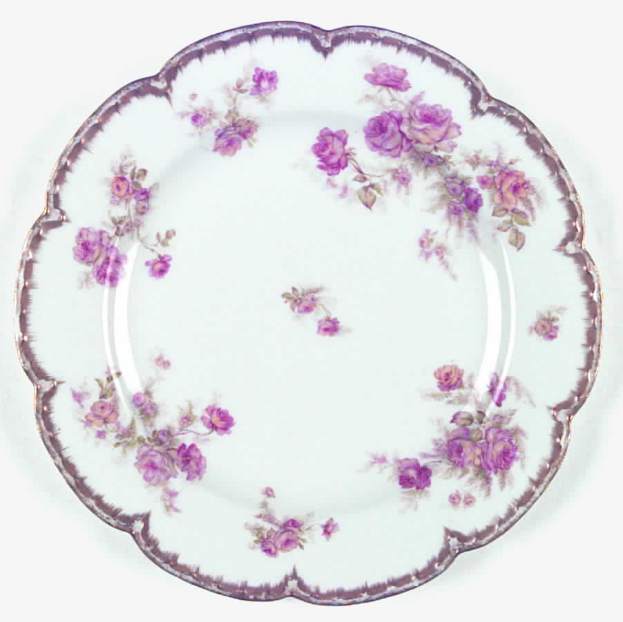 H2003 Dinner Plate by Haviland-1