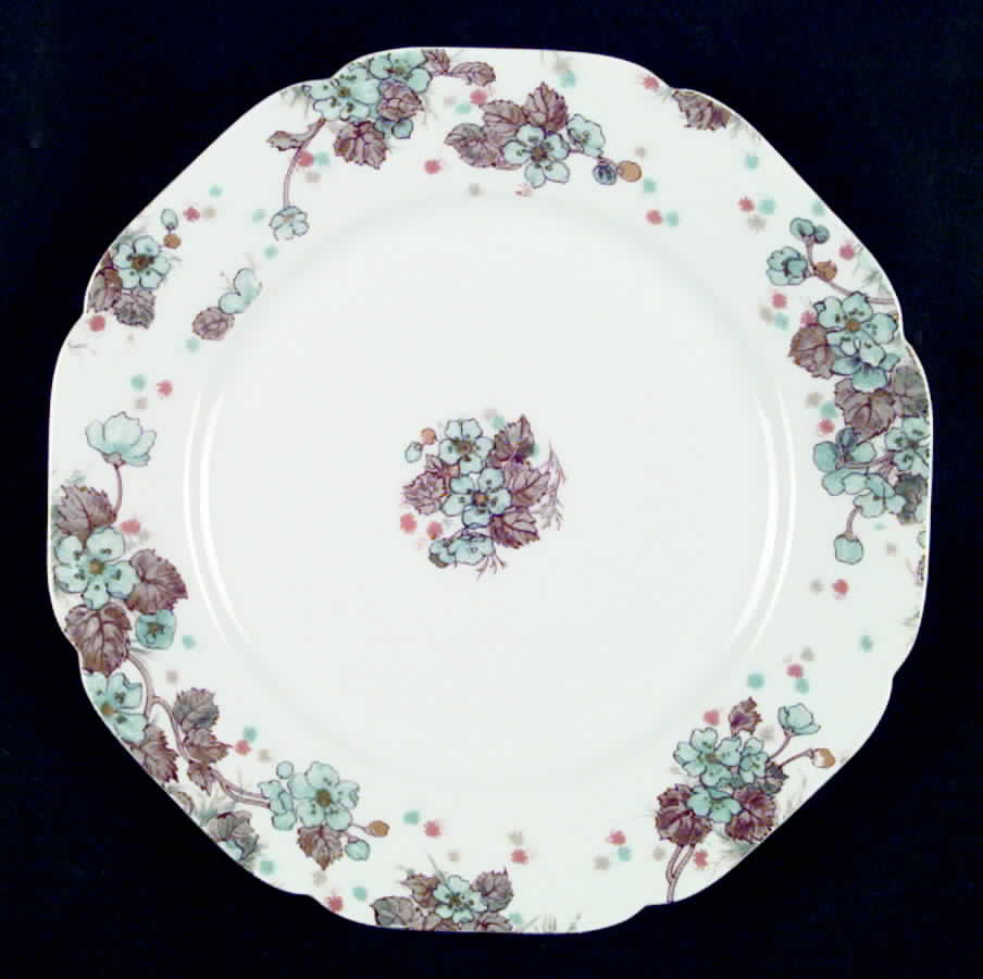 H2002 Dinner Plate by Haviland-1
