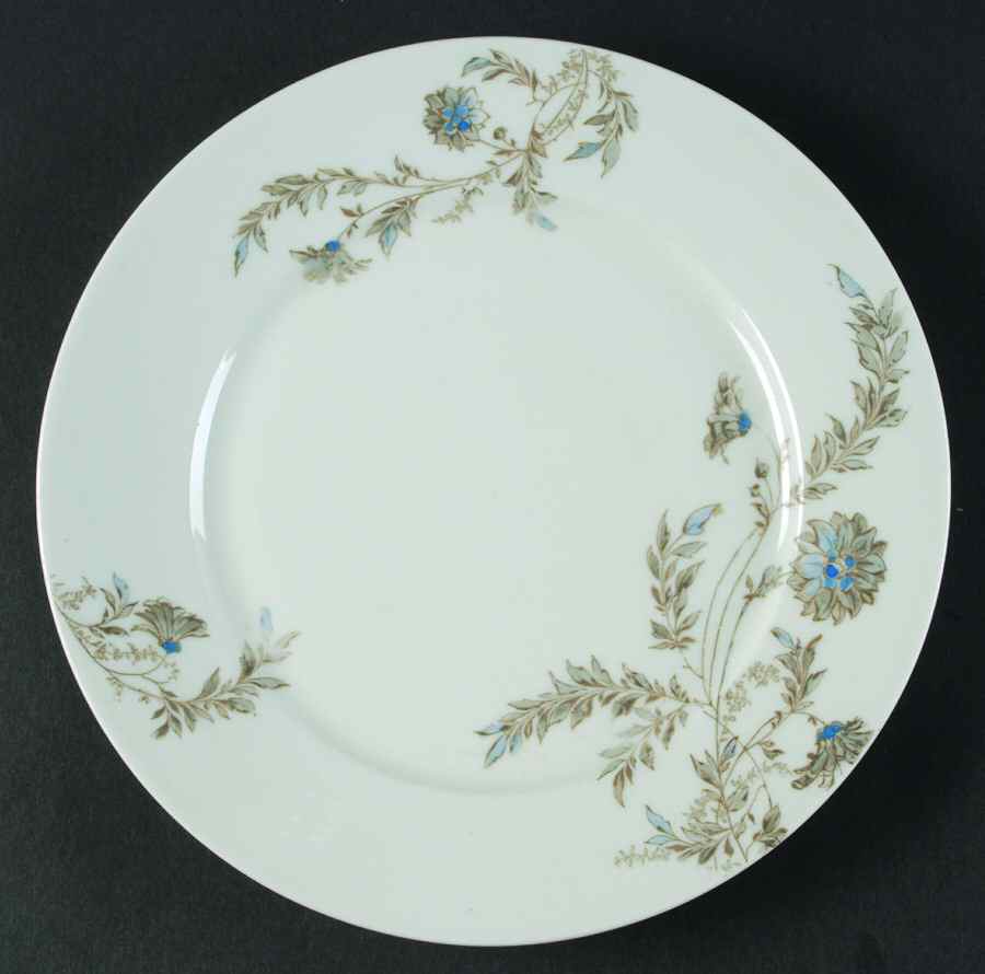 H2005 Dinner Plate by Haviland-1