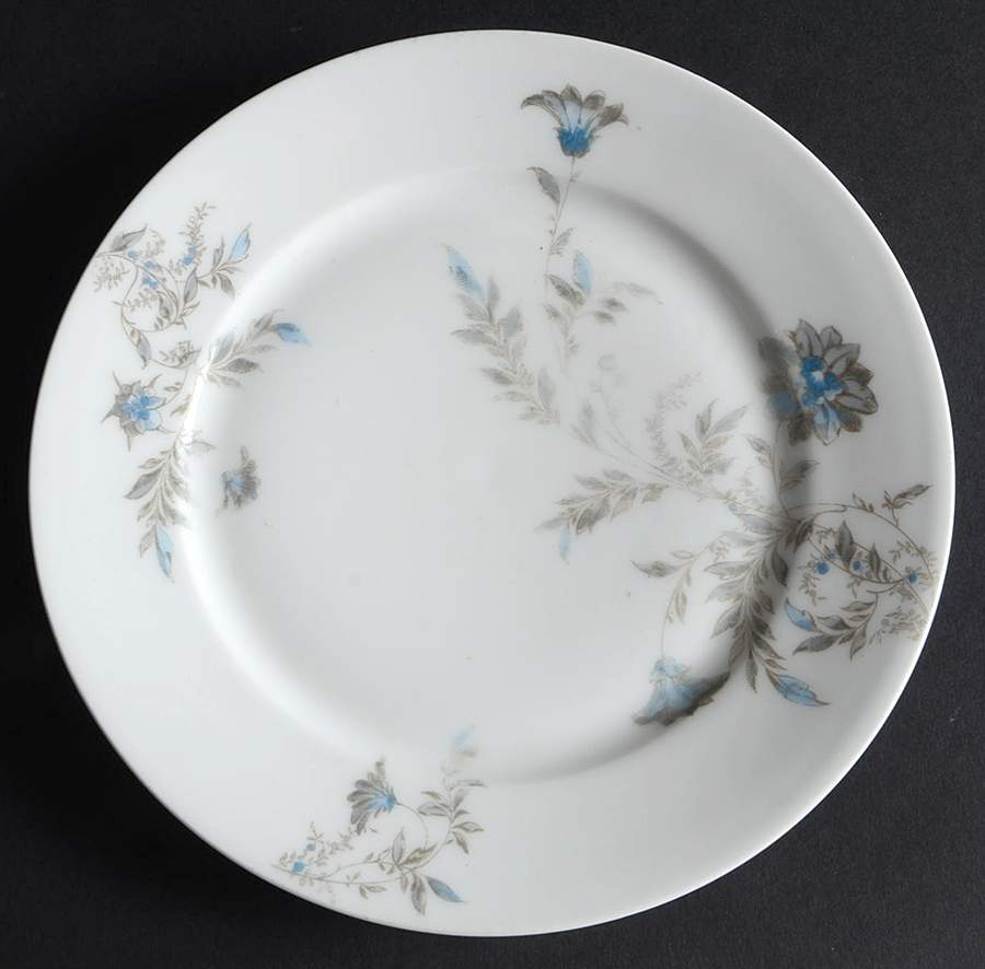 H2005 Salad Plate by Haviland-1