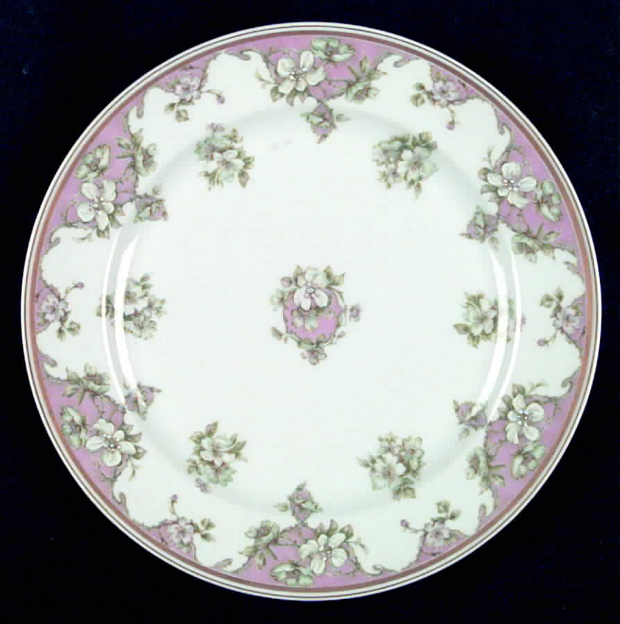 H2009 Dinner Plate by Haviland-1
