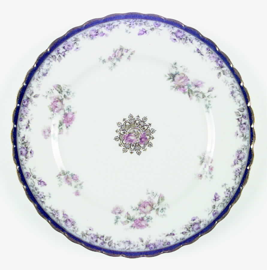 H2012 Dinner Plate by Haviland-1