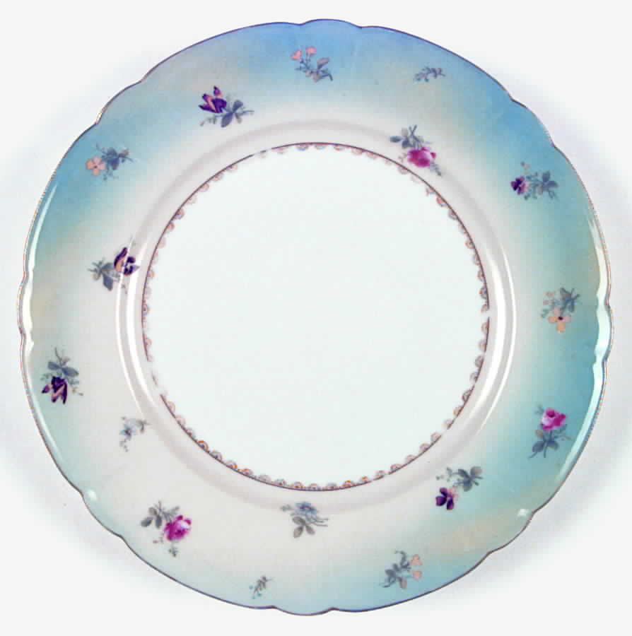 H2016 Dinner Plate by Haviland-1