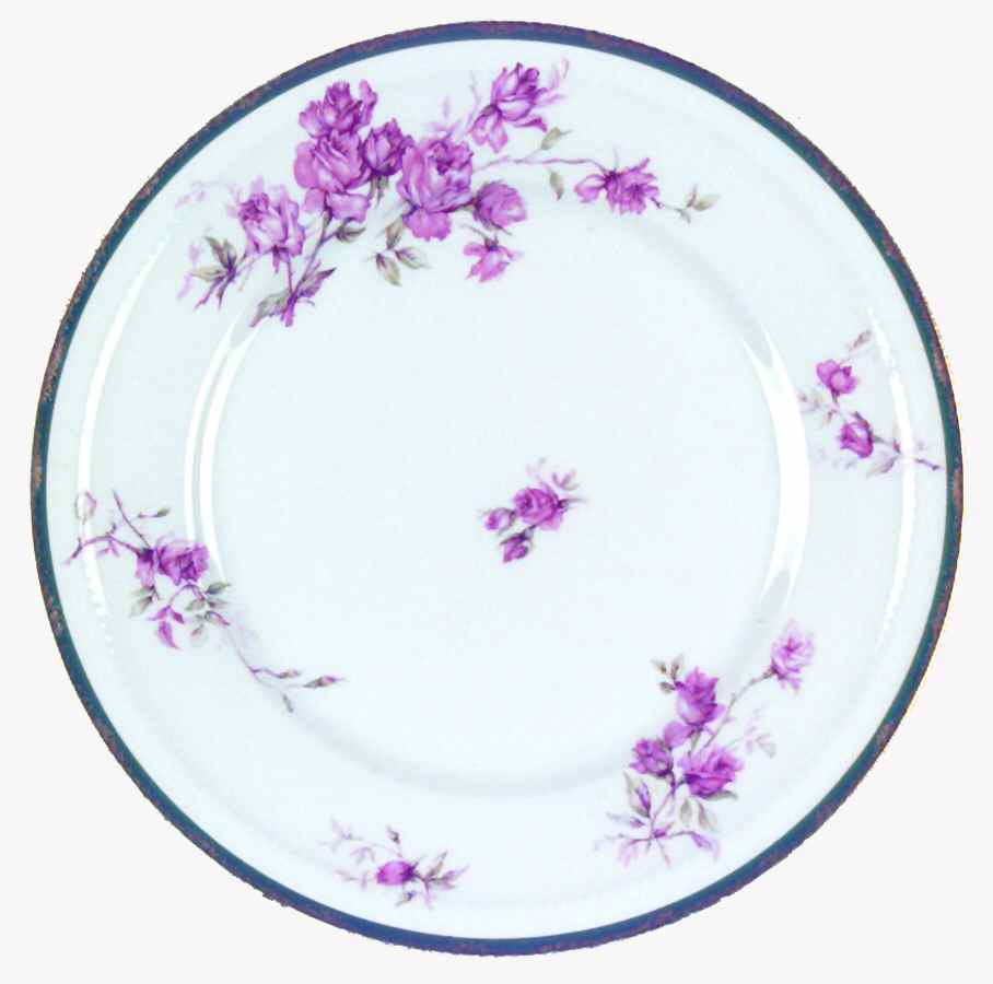 H2017 Dinner Plate by Haviland-1