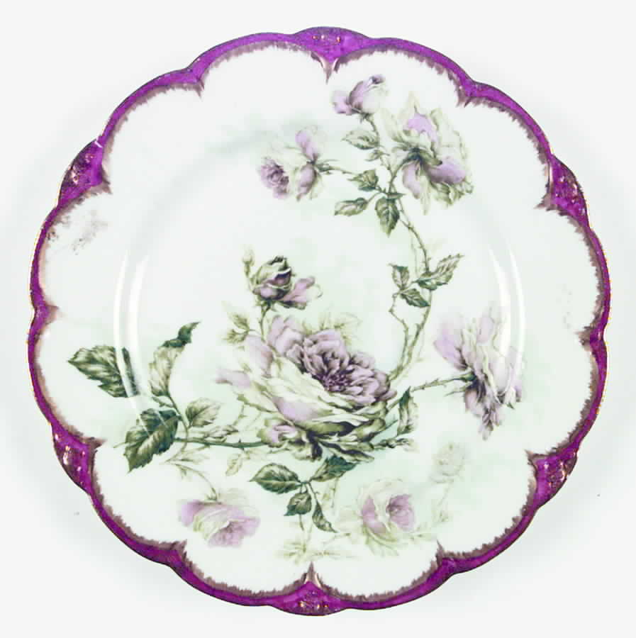 H2020 Dinner Plate by Haviland-1
