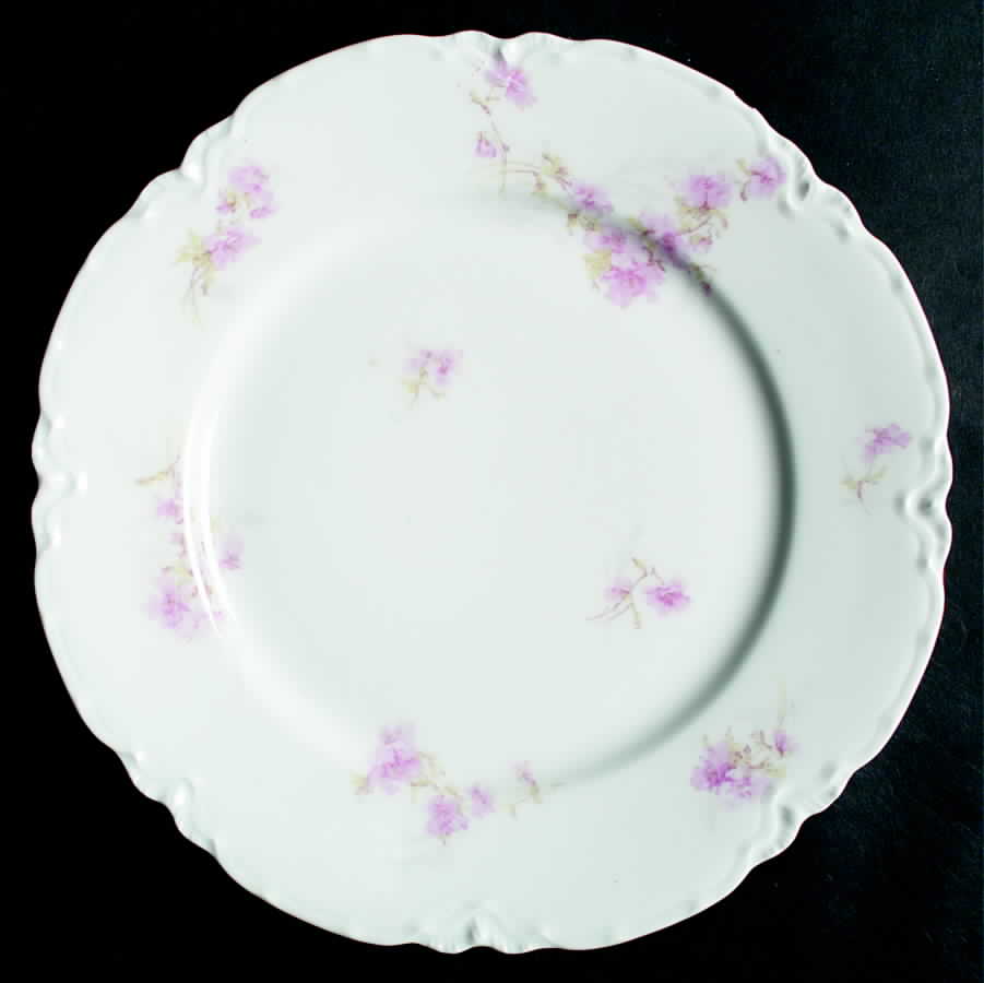 H2031 Dinner Plate by Haviland-1