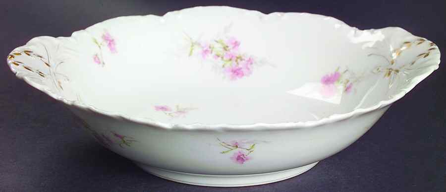 H2031 10" Round Vegetable Bowl by Haviland-1