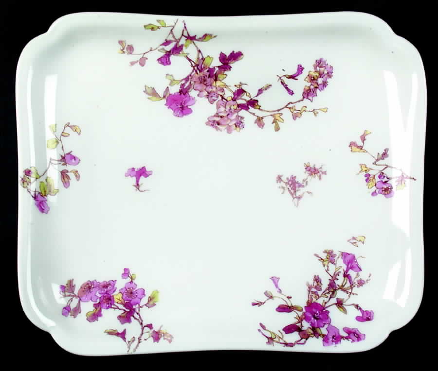 H2032 Ice Cream Tray by Haviland-1
