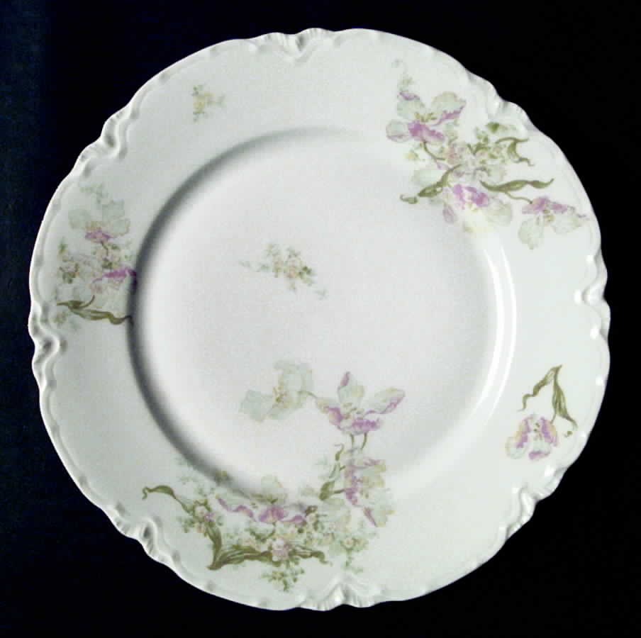 H2046 Dinner Plate by Haviland-1