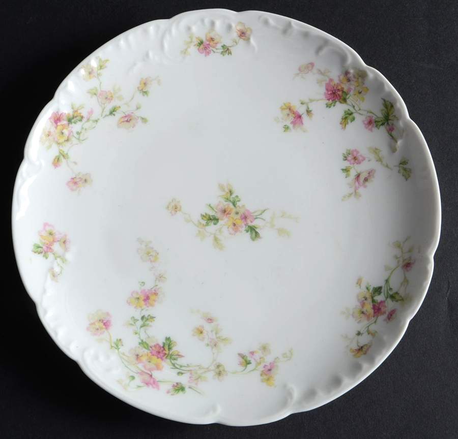 H2078 Salad Plate by Haviland-1