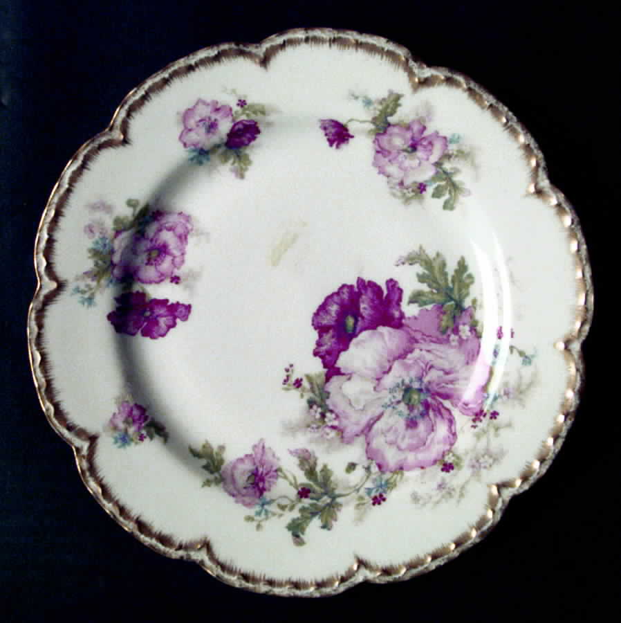 H2082 Luncheon Plate by Haviland-1