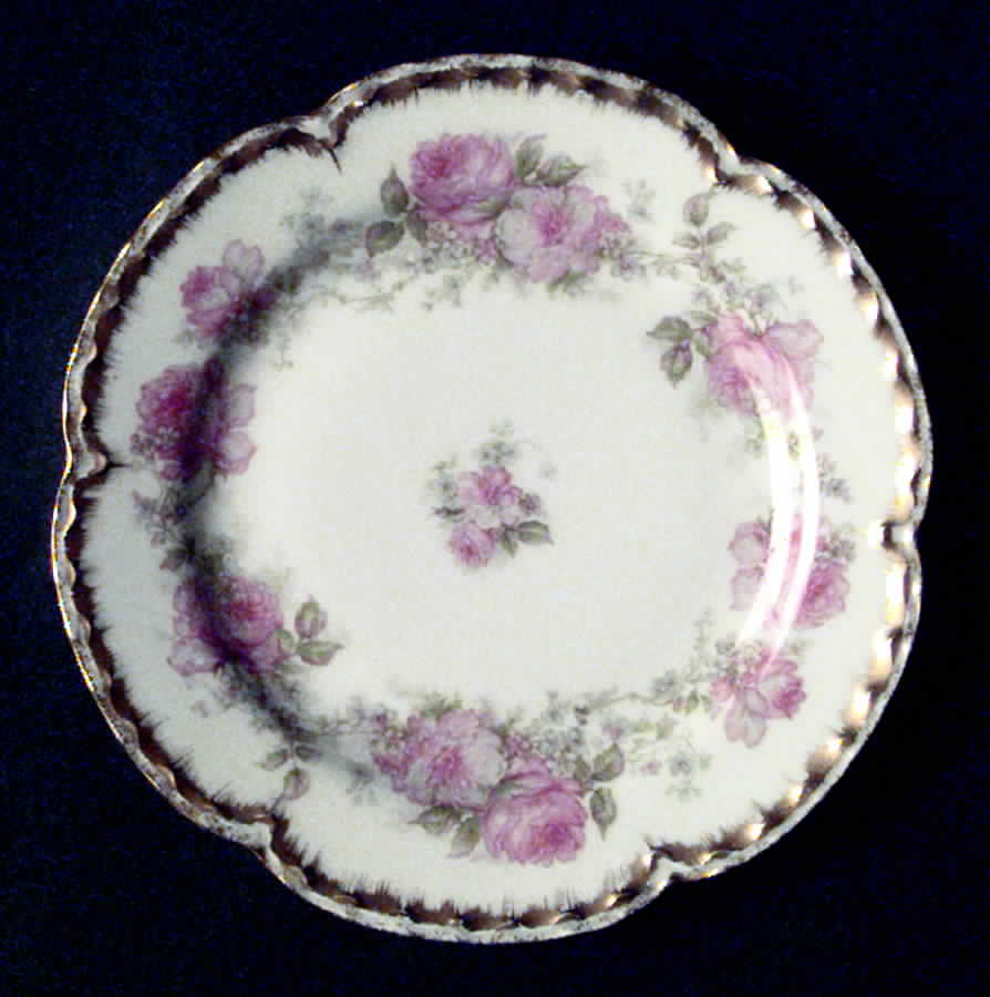 H2102 Bread & Butter Plate by Haviland-1