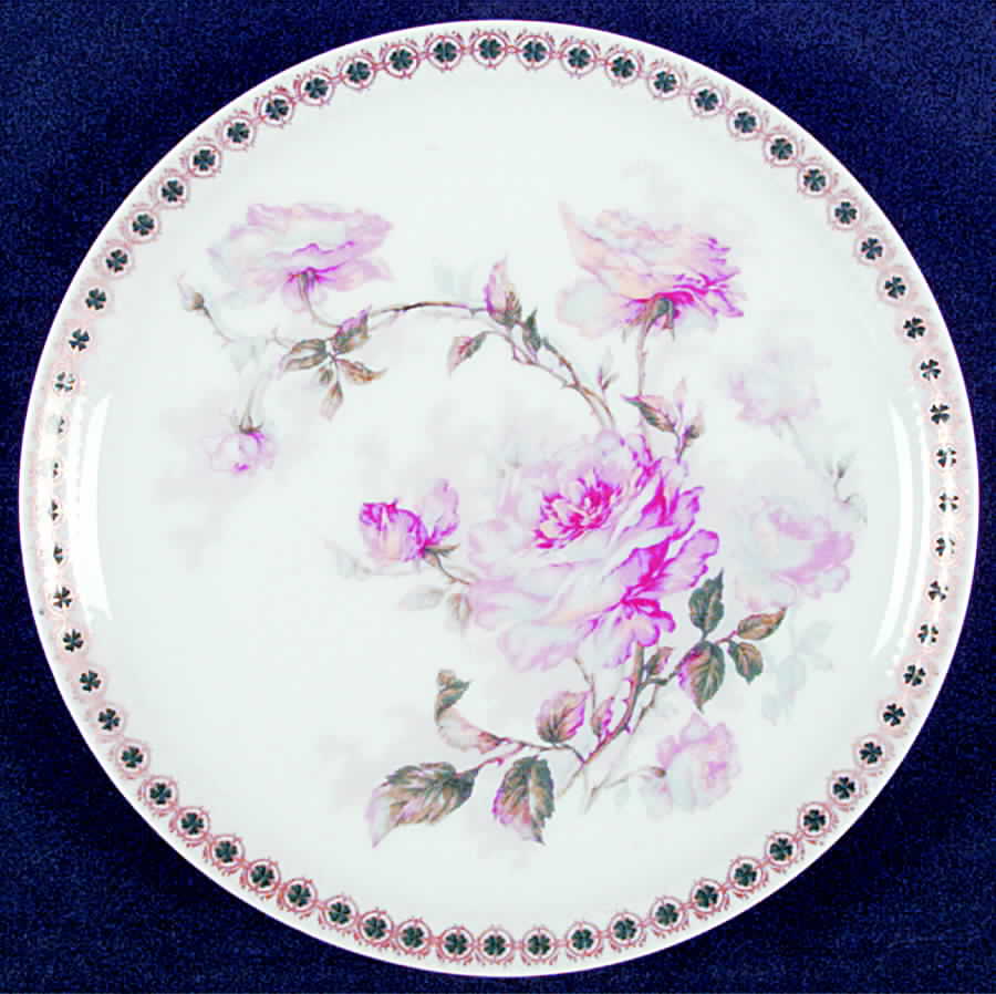 H2112 Luncheon Plate by Haviland-1