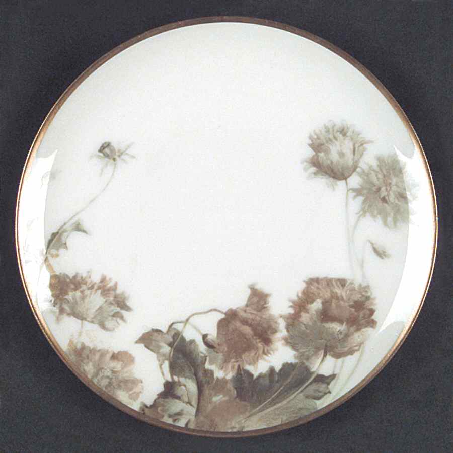 Flowers and Seeds (Smooth) Coupe Salad Plate by Haviland-1