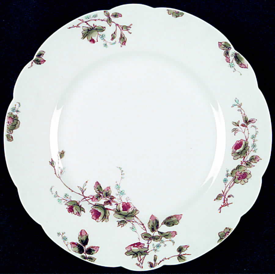 H2136 Luncheon Plate by Haviland-1