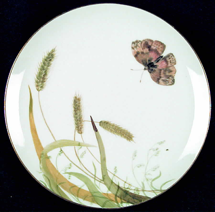 H2137 Luncheon Plate by Haviland-1