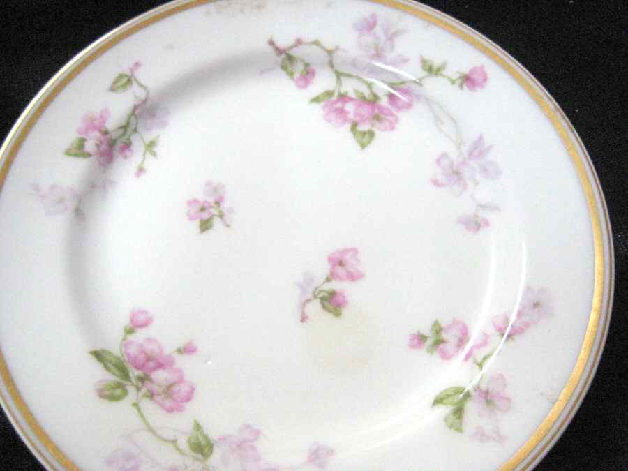 Schleiger 37-2 Bread & Butter Plate by Haviland-1