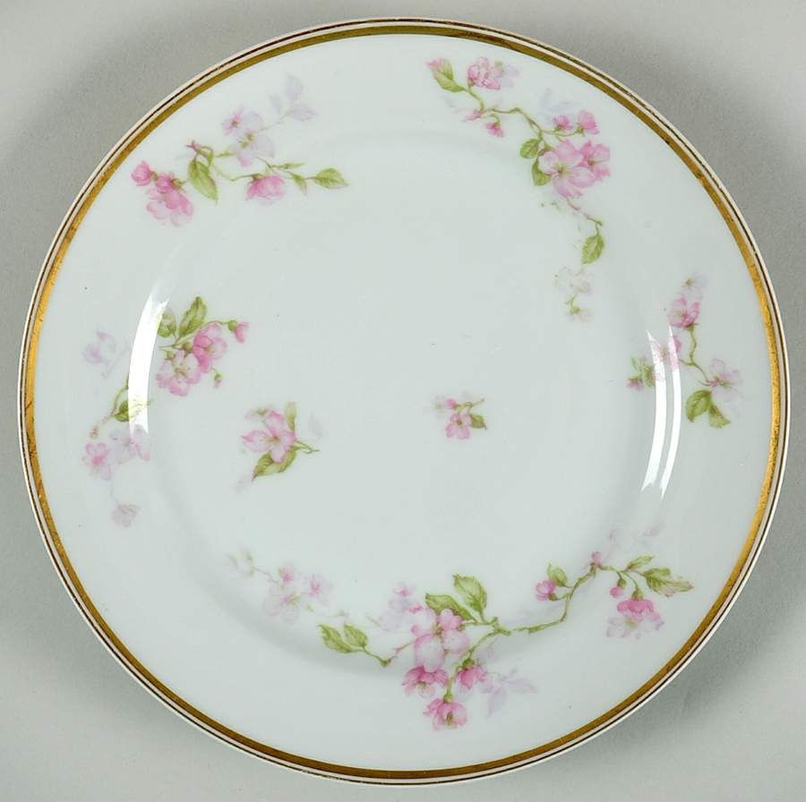 Schleiger 37-2 Salad Plate by Haviland-1