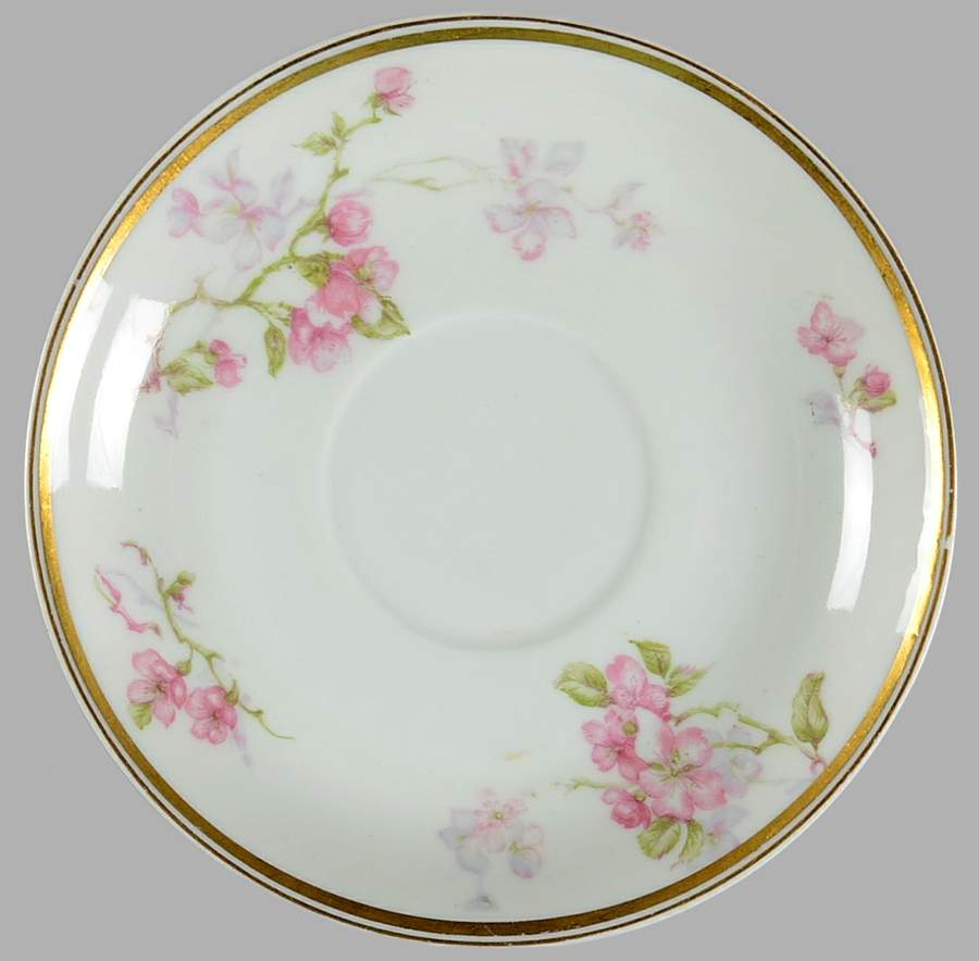 Schleiger 37-2 Saucer by Haviland-1