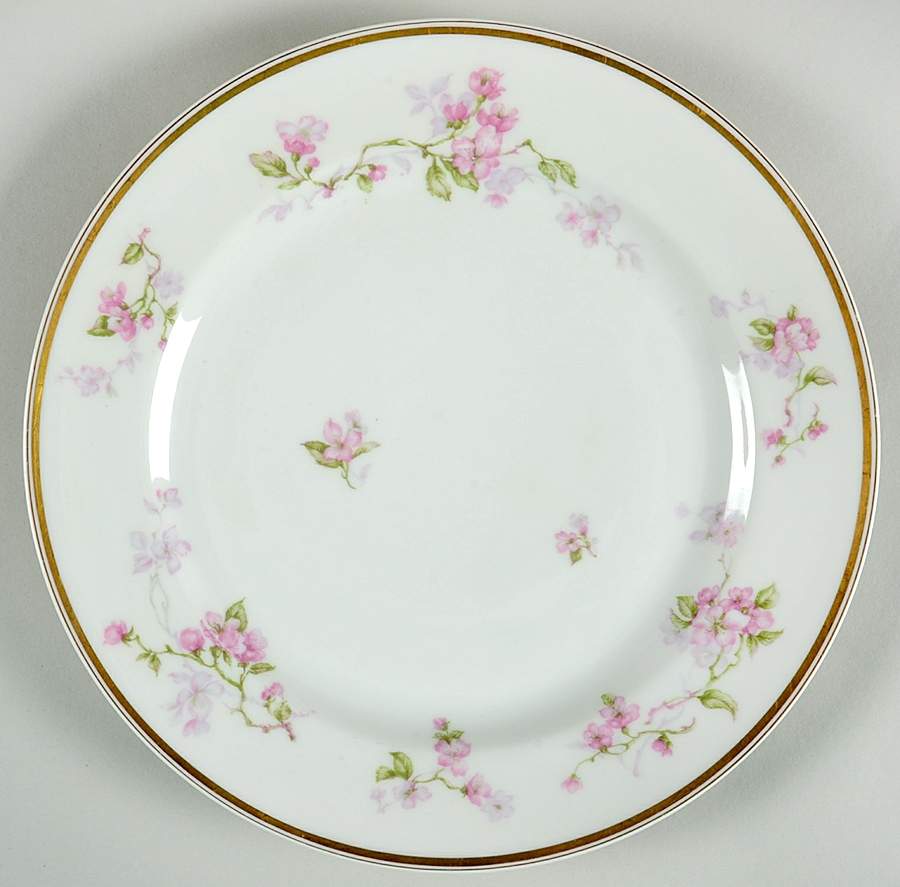 Schleiger 37-2 Dinner Plate by Haviland-1