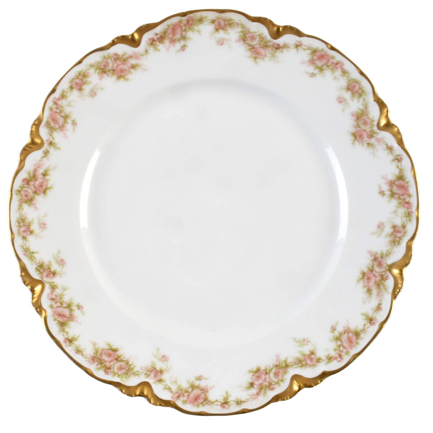 H2140 Dinner Plate by Haviland-1
