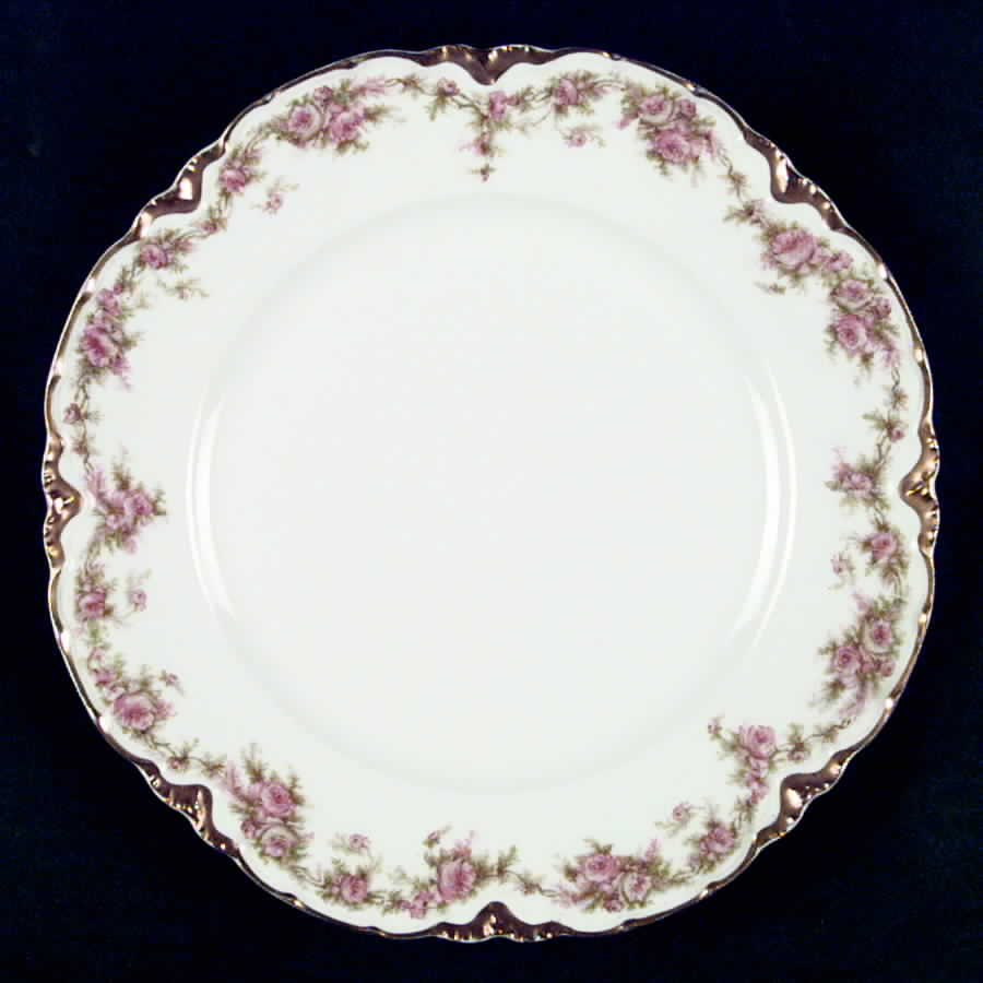 H2140 Luncheon Plate by Haviland-1
