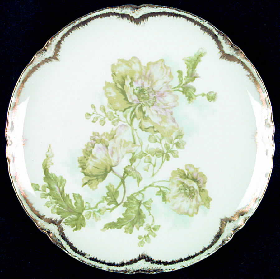 H2145 Coupe Luncheon Plate by Haviland-1