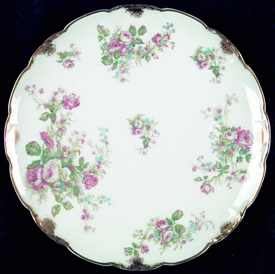 H2147 Luncheon Plate by Haviland-1