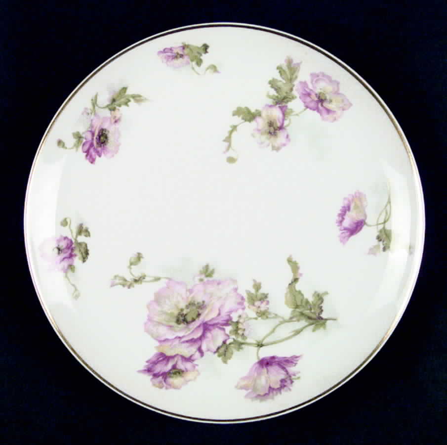 H2146 Salad Plate by Haviland-1