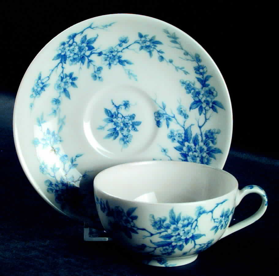 H2169 Flat Cup & Saucer Set by Haviland-1