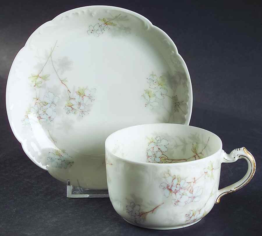 Schleiger 83-2 Flat Cup & Saucer Set by Haviland-1