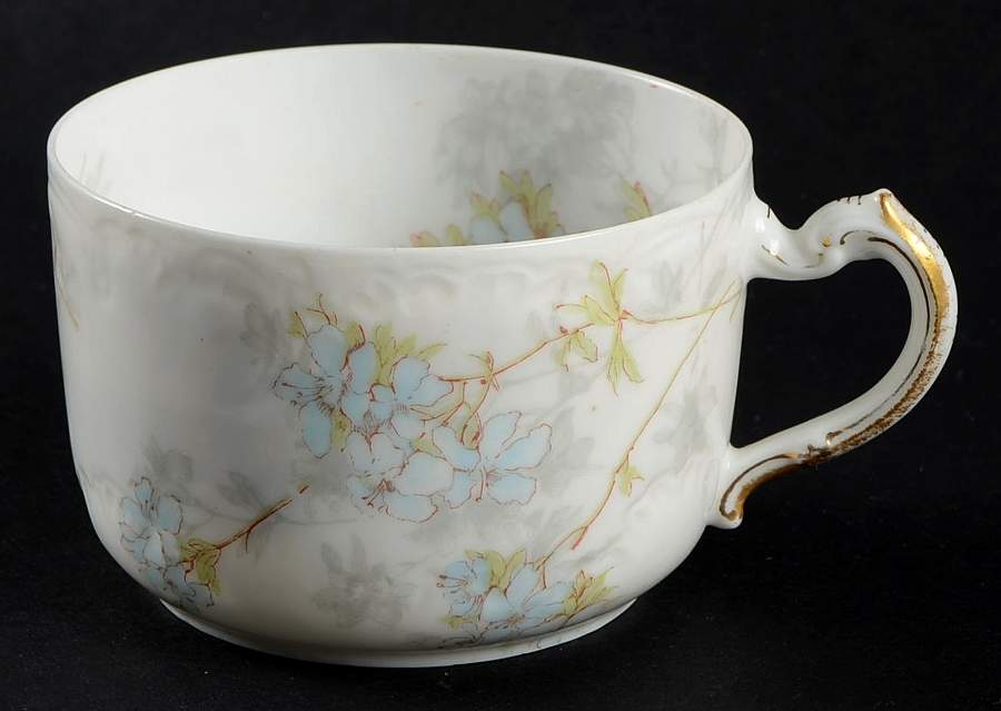 Schleiger 83-2 Flat Cup by Haviland-1