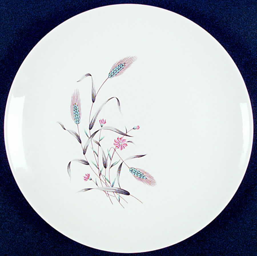 HLC2202 Dinner Plate by Homer Laughlin -1