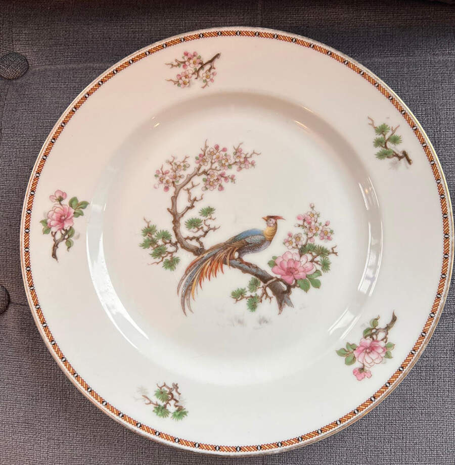 HC739 Dinner Plate by Heinrich - H&C-1