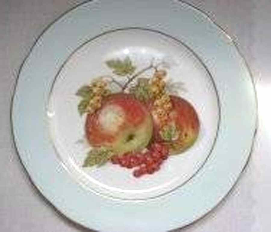 4487-4 Luncheon Plate by Hammersley-1