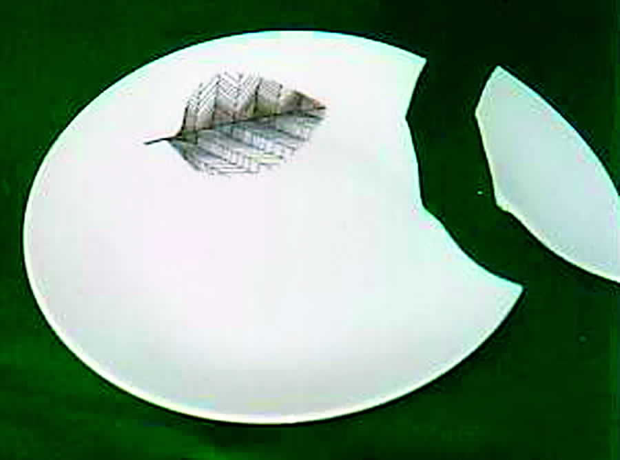 9655 Salad Plate by Hutschenreuther-1