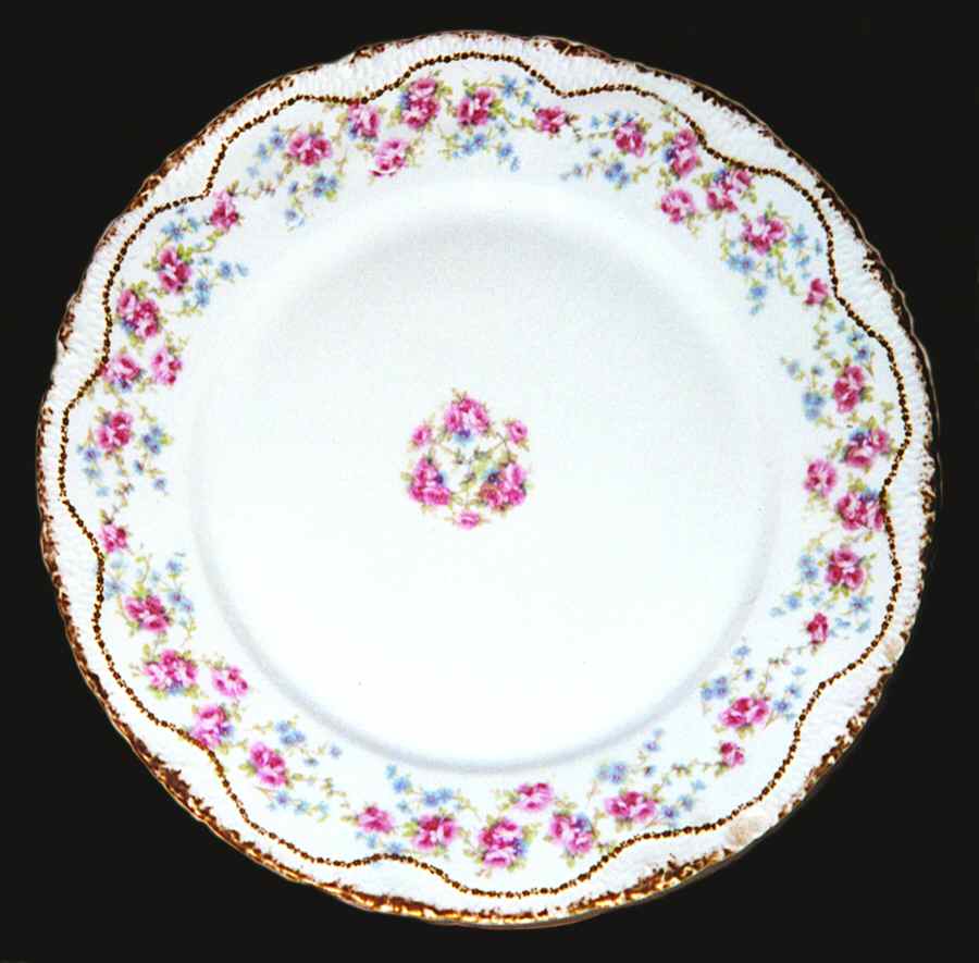 Schleiger 1248 Dinner Plate by Haviland-1