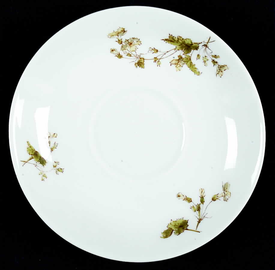 H2187 Saucer by Haviland-1
