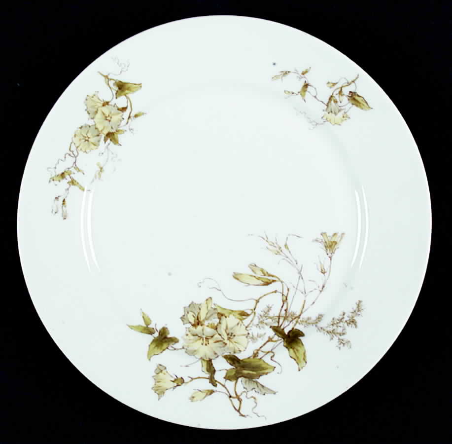 H2187 Salad Plate by Haviland-1