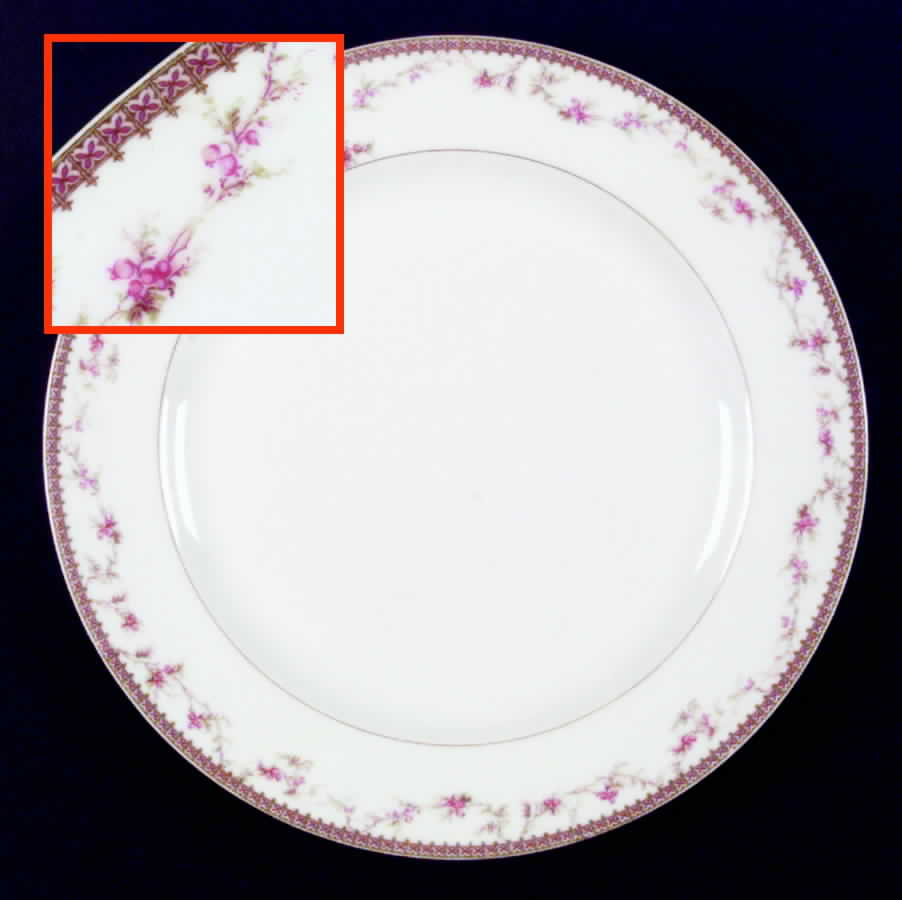 Schleiger 103-3 Dinner Plate by Haviland-1