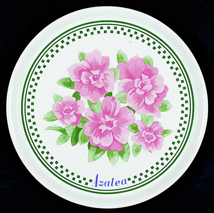 HCN1 Cake Plate by SHI (China)-1
