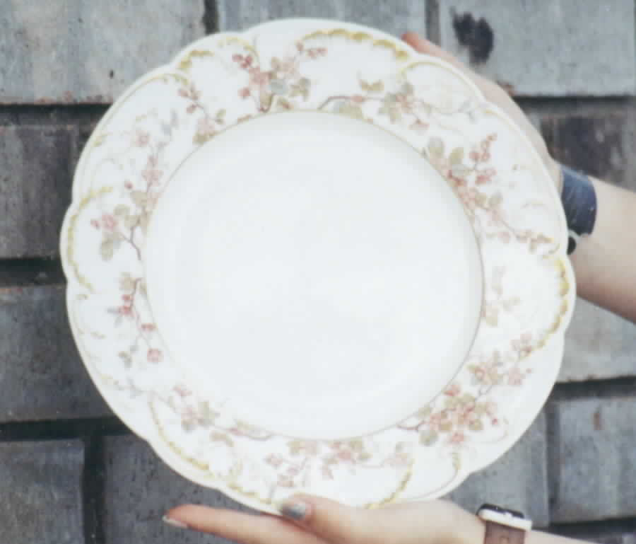 H2197 Dinner Plate by Haviland-1