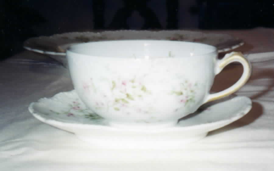 Schleiger 837-2 Flat Cup & Saucer Set by Haviland-1